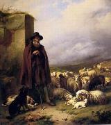 unknow artist Sheep 176 oil on canvas